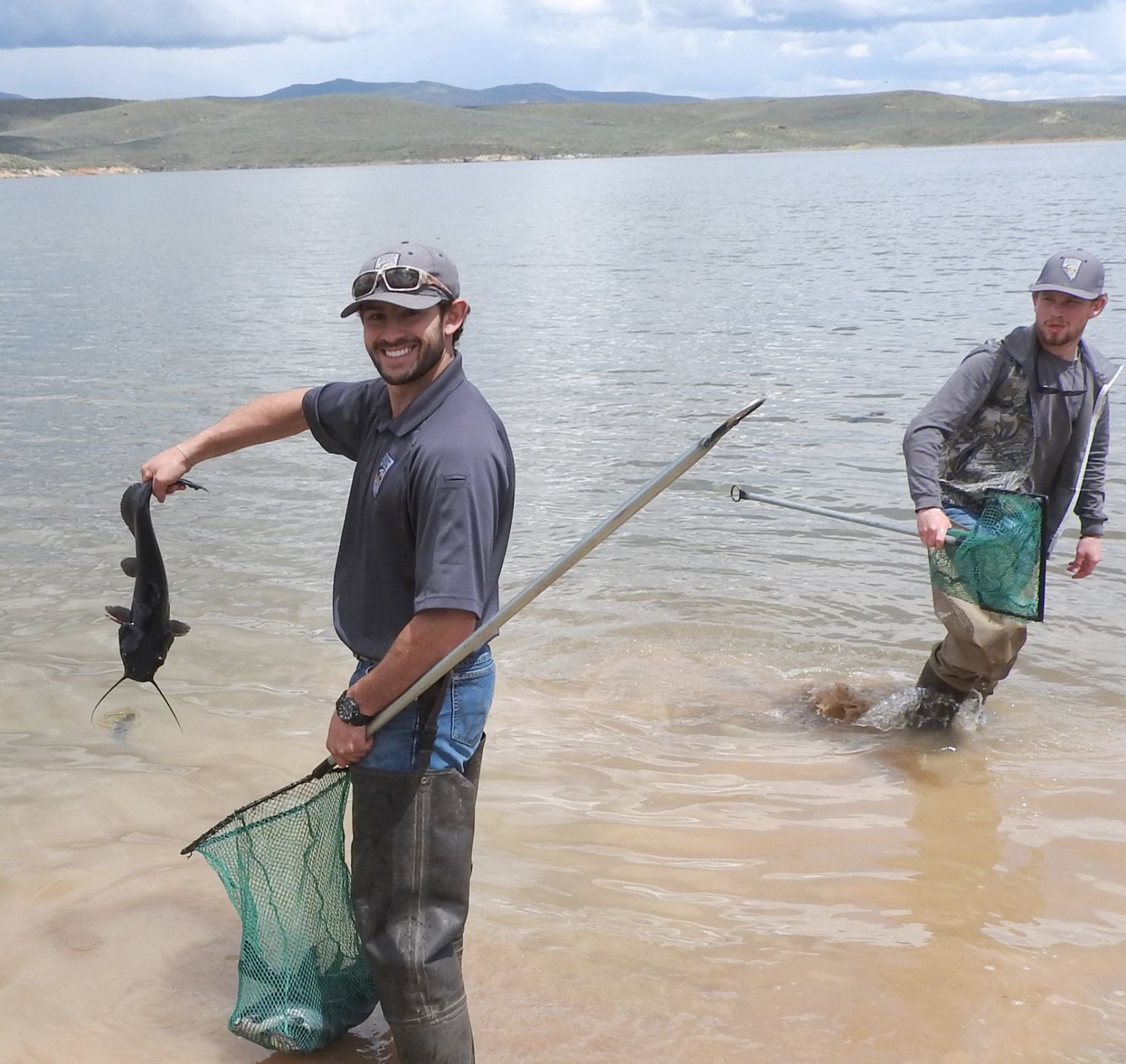 Willow Creek catfish